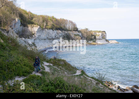 Stevns Klint in Denmark with visitors walking on a path Stock Photo