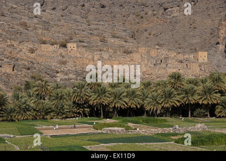 Agriculture and abandoned village in Wadi Ghul, Sultanate of Oman Stock Photo