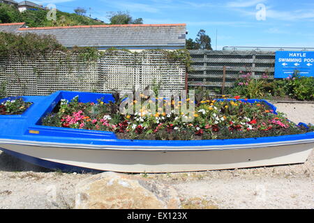 flowers growing in old disused boat Stock Photo