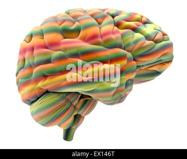 Brain Abstract computer artwork of a human brain The front of the brain ...
