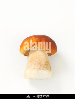 Studio shot of fresh edible mushroom Stock Photo