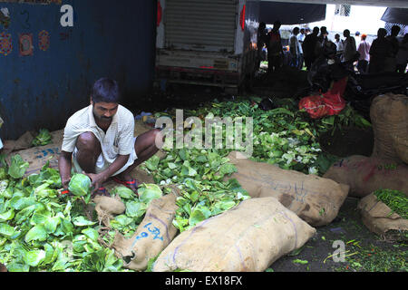 Aug. 22, 2014 - 22 aug 2014 - Mumbai, India :.A vegetable vendor sorts cabbages at The Dadar Vegetable Market at Mumbai.India, the world's largest producer of milk and the second-largest producer of fruits and vegetables, is also one of the biggest food wasters in the world - wasting 440 billion rupees worth of fruits, vegetables, and grains every year, according to Emerson Climate Technologies India, part of Emerson, a US-based manufacturing and technology company. Cold storage solutions, which are severely lacking in India, are needed to reduce spoilage, experts say.In India as much as Stock Photo