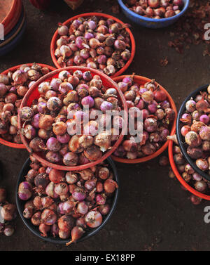 Maharashtra, India. 26th Sep, 2013. 26 sept. 2013 : Lasalgaon, INDIA :.Discarded & waste Onions At a Onion trader's warehouse in Lasalgaon .Lasalgaon is Asia's Largest WholeSale Onion Market.India, the world's largest producer of milk and the second-largest producer of fruits and vegetables, is also one of the biggest food wasters in the world - wasting 440 billion rupees worth of fruits, vegetables, and grains every year, according to Emerson Climate Technologies India, part of Emerson, a US-based manufacturing and technology company. Cold storage solutions, which are severely lacking Stock Photo