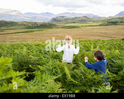 Little children running into the fern field in the Lake District, Cumbria, England in summer.