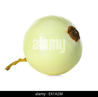 Peeled onion isolated on white background Stock Photo