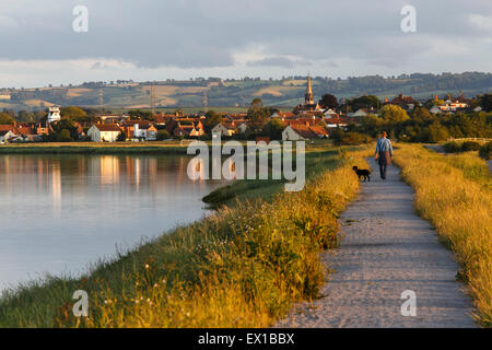 Man walking towards Combwich with dog on footpath beside the River Parret on a summer's evening. Stock Photo