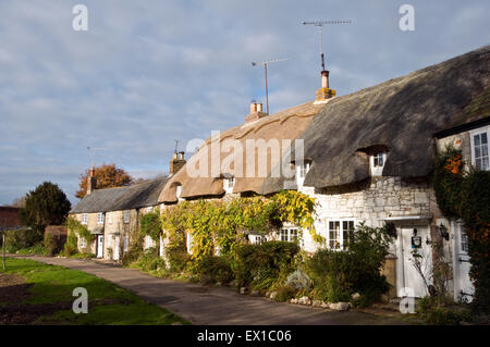 Picturesque Cottages at Winkle street Calbourne Isle of Wight Hampshire England UK Europe Stock Photo