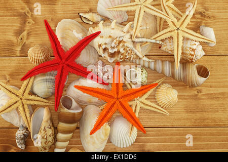 Sea shells and Starfishes on brown wooden background Stock Photo