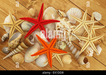 Sea shells and Starfishes on brown wooden background Stock Photo