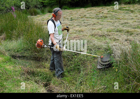 A man wearing safety equipment and strimmer strimming reeds in a field ...
