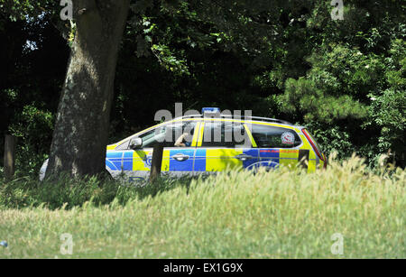 Brighton UK Saturday 4th July 2015 - A police car parked nearby watches the Green Pride pro cannabis event in Preston Park Brighton today The event organised by Brighton Cannabis Club is intended to promote the legalisation of medicinal cannabis, to celebrate cannabis, hemp and all things green with many of them openly rolling and smoking joints in the park Stock Photo