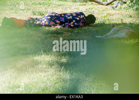 A homeless man is sleeping on a meadow in the center of Sofia with homeless dogs next to him. Stock Photo