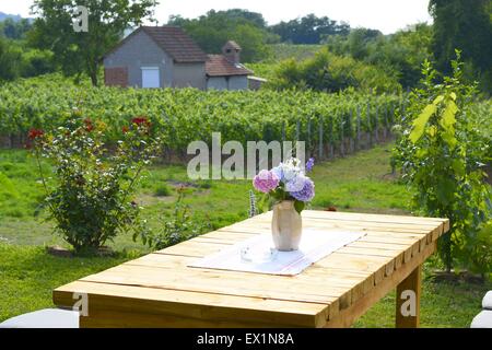 Table in the farmyard Stock Photo