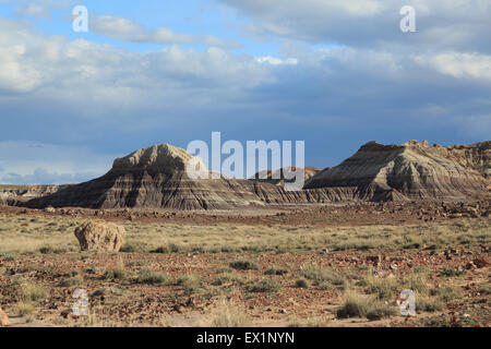 A landscape photograph of the Petrified Forest National Park, in Arizona. Petrified Forest National Park is a United States. Stock Photo