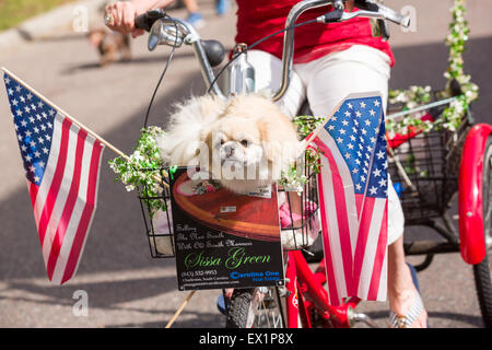 South Carolina, USA. 4th July, 2015. A dog rides in a bicycle basket decorated in red, white and blue during the I'On neighborhood Independence Day parade July 4, 2015 in Mt Pleasant, South Carolina. Stock Photo