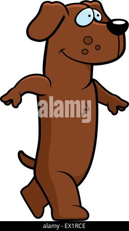A happy cartoon dachshund walking and smiling. Stock Vector
