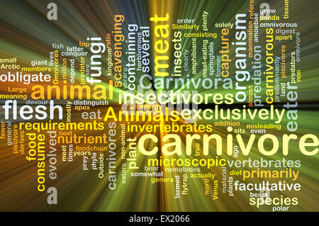Background concept wordcloud illustration of carnivore glowing light Stock Photo