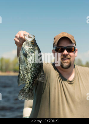 Large Black Crappie Stock Photo