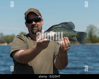 Large Black Crappie Stock Photo