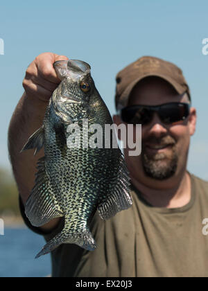 Large Black Crappie Stock Photo