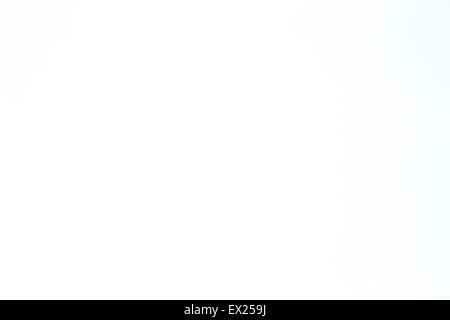 white background Stock Photo