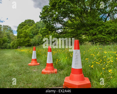 Surreal picture of traffic cones in the middle of nowhere Stock Photo