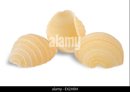 Italian Raw Pasta Shells Conchiglie / Conchiglioni in Wooden Bowl ...