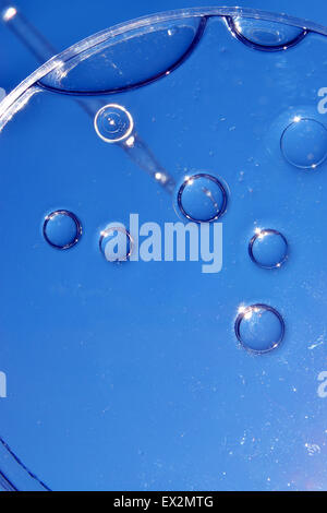 oil and water in petri dish, blue background Stock Photo