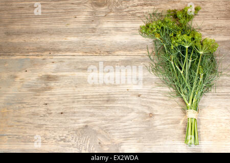 Fresh dill sprigs on wooden. Copy space to right. Stock Photo