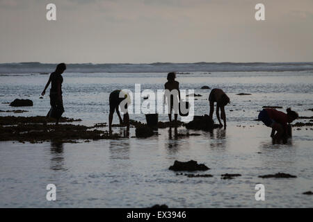 Young women silhouetted as they are collecting sea products during low tide—an alternative, seasonal food source in Sumba Island, Indonesia. Stock Photo