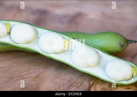 Vicia faba. Broad beans on a wooden board. Stock Photo