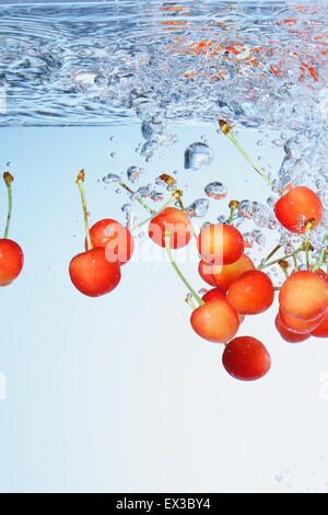 Fresh cherries in water splash, isolated on black background Stock