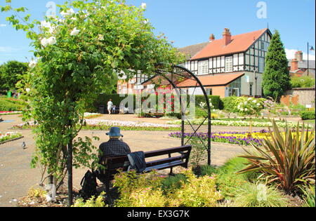 A man sits on a bench beneath a rose arch on a hot summer's day in Hall Leys Park, Matlock, Derbyshire Dales, England UK Stock Photo