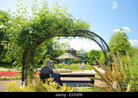 A man sits on a bench beneath a rose arch on a hot summer's day in Hall Leys Park, Matlock, Derbyshire Dales, England UK Stock Photo