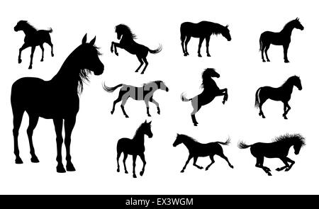 A set of high quality detailed horse silhouettes Stock Photo