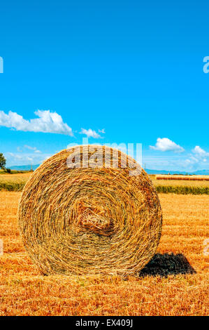 a large round straw bale in a crop field in Spain after harvesting Stock Photo