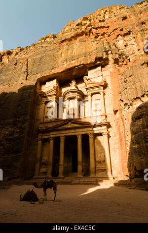 Petra, Jordan, 8th June. Pair of camels resting in front of Petra's treasury. Stock Photo
