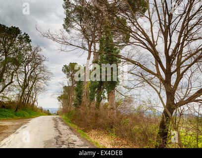 The serenity of a country road that disappears into the horizon in the middle of cultivated fields during spring Stock Photo