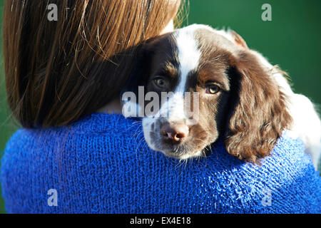 Girl Holding Pet Spaniel Puppy Outdoors In Garden Stock Photo