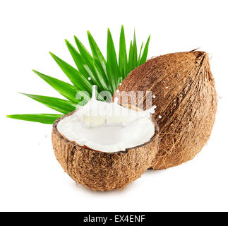 Coconuts with milk splash and leaf isolated on white background. Stock Photo