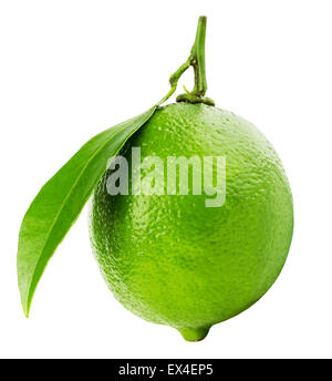 lime with leaf isolated on white background. Stock Photo