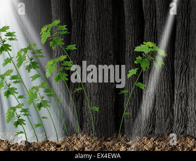 Finding new opportunity and independent thinker concept and new leadership symbol or individuality as a group of growing sapling trees that grow together with one individual sapling going in the opposite direction following a small beam of light. Stock Photo