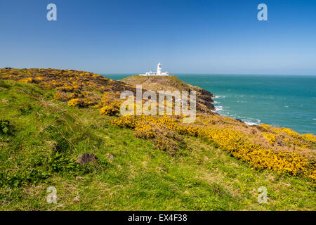 Strumble Head and the 1908 Lighthouse on the Pembrokeshire coast of Wales UK Europe Stock Photo