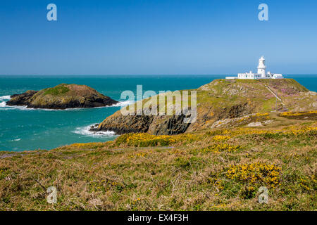 Strumble Head and the 1908 Lighthouse on the Pembrokeshire coast of Wales UK Europe Stock Photo