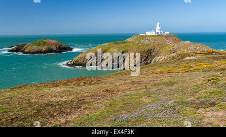Strumble Head and the 1908 Lighthouse on the Pembrokeshire coast of Wales UK Europe Stock Photo