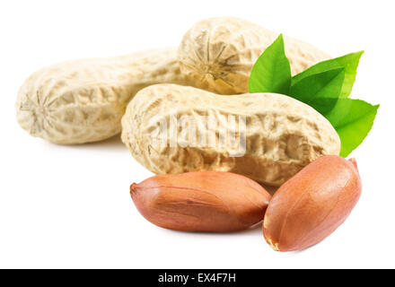 peanuts in shell isolated on the white background. Stock Photo