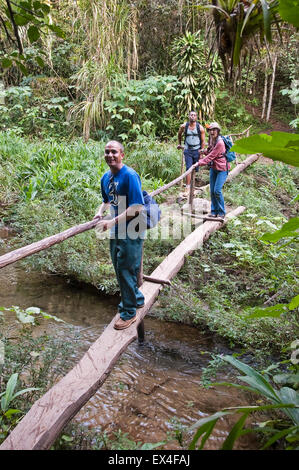 Vertical portrait of tourists walking on makeshift log bridges in Topes de Collantes National Park in Cuba. Stock Photo
