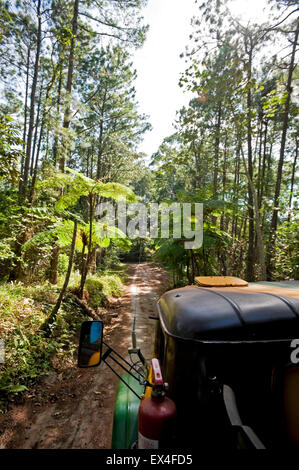 Vertical view of an old Russian military truck transporting tourists around Topes de Collantes National Park in Cuba. Stock Photo