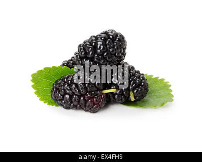 black mulberry with leaf on white background. Stock Photo