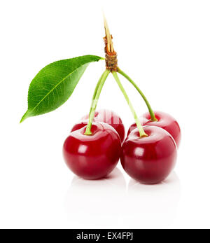 Cherry isolated on the white background. Stock Photo